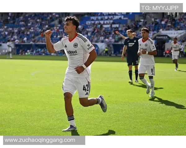 霍芬海姆足球俱乐部的崛起与挑战：探索德甲新势力的未来发展之路